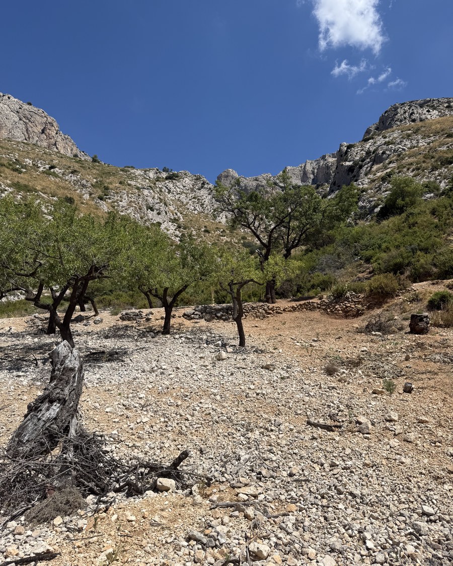 Sendero de montaña en la Sierra de Aitana